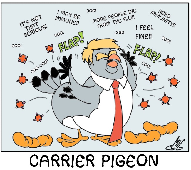 Carrier Pigeon by Smigliano2 on DeviantArt