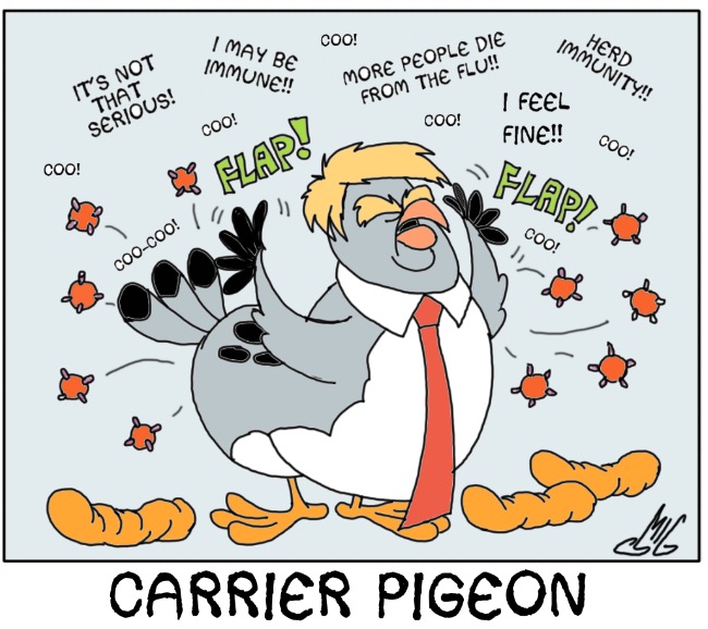 Carrier Pigeon by Smigliano2 on DeviantArt Carrier Pigeon by Smigliano2 on DeviantArt