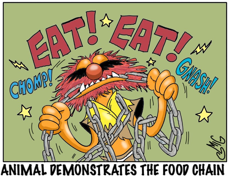 Food Chain by Smigliano2 on DeviantArt Biology Diagrams
