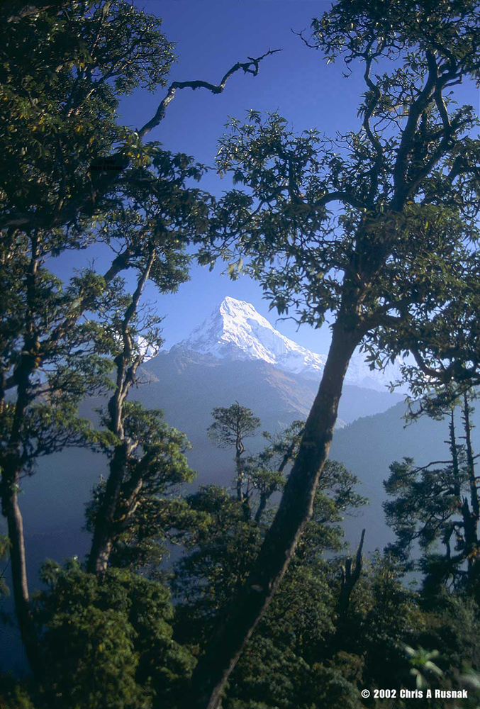 Machapuchari-Nepal