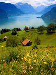 Swiss Farm on Lake Lucern by snak