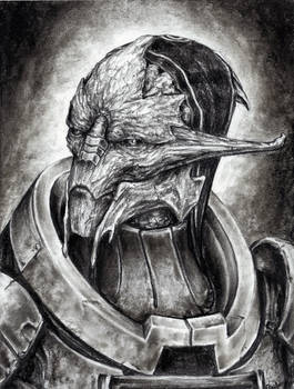 Saren Portrait - contest prize