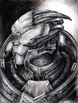 Garrus Portrait 2