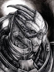 Garrus Scar Portrait