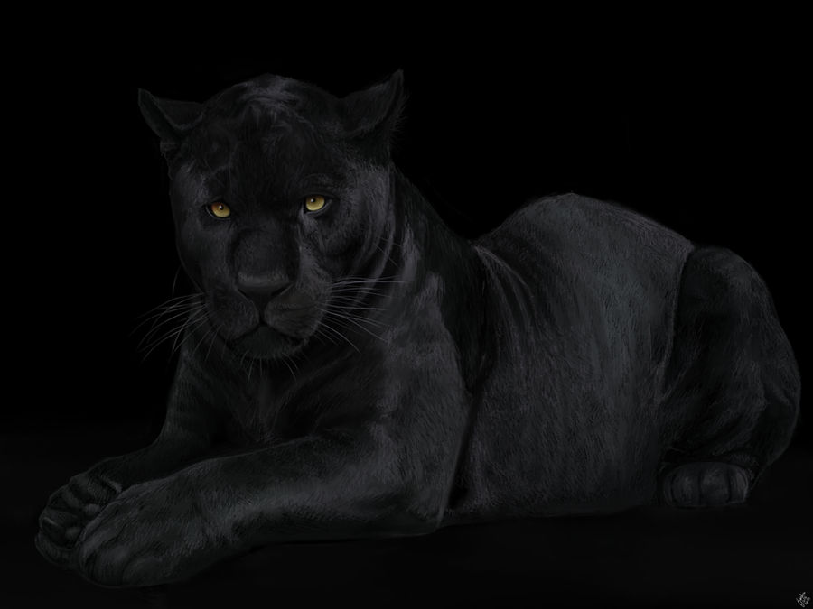 The Black Panther. by Alexandoria