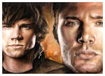 SPN - Brothers by Anna-Mariaa