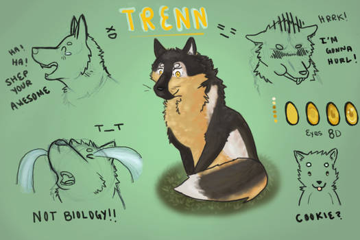 Trenn Sketch Pile