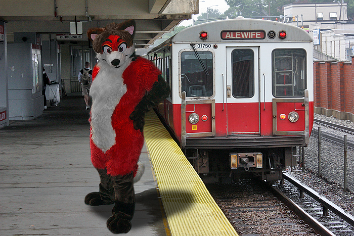 A red fox on the red line by PudgeyRedFox