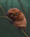 Mr. Tarsier by floaters