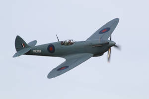 Spitfire