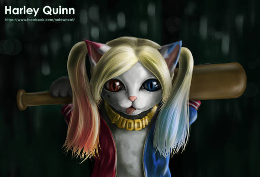 Harley Quinn Cat