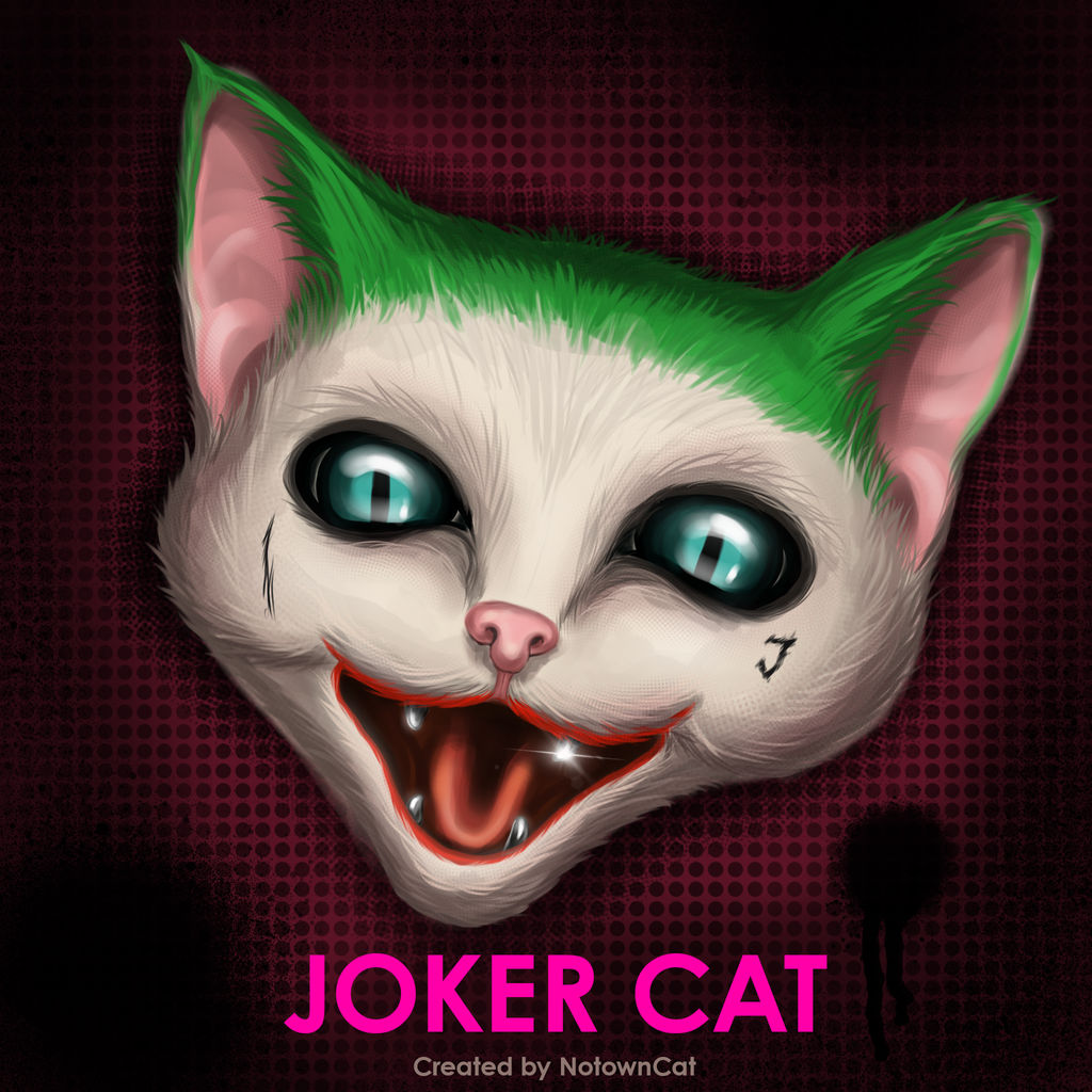 joker cat by notowncat on deviantart