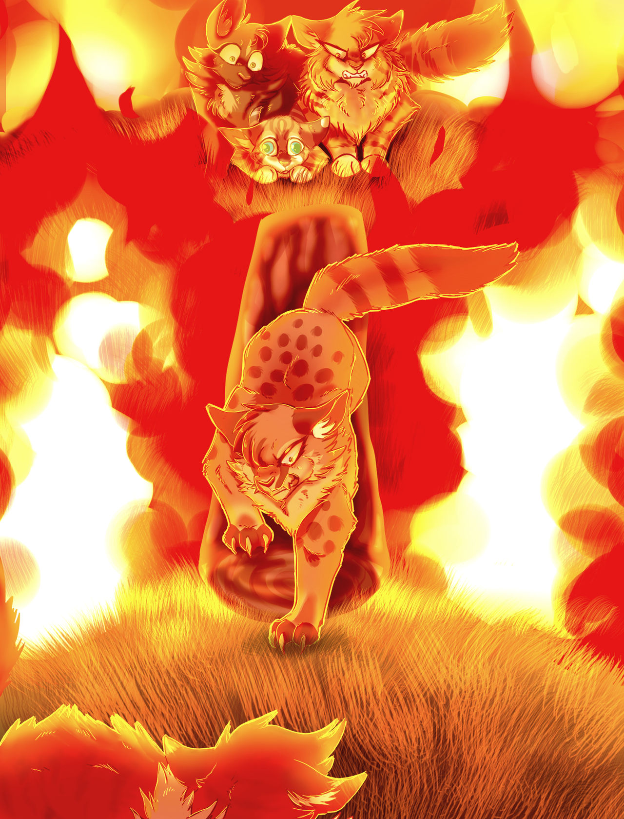 Ash Fire Reference Drawing Ashfur's Fire by nixght on DeviantArt