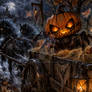 🎃 Jack-o’-Lantern Spider Hybrid