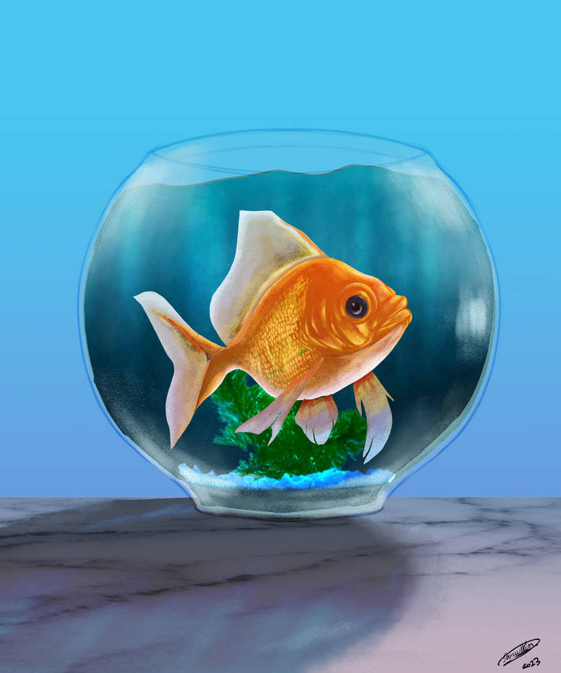 Deviantart 2007 Goldfish goldfish swimming in an aquarium commission Origin by samuelkem193 on ...