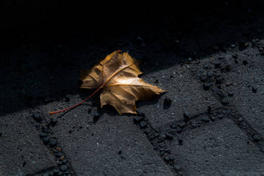 Noticed Images Explore the Best Noticed Art | DeviantArt