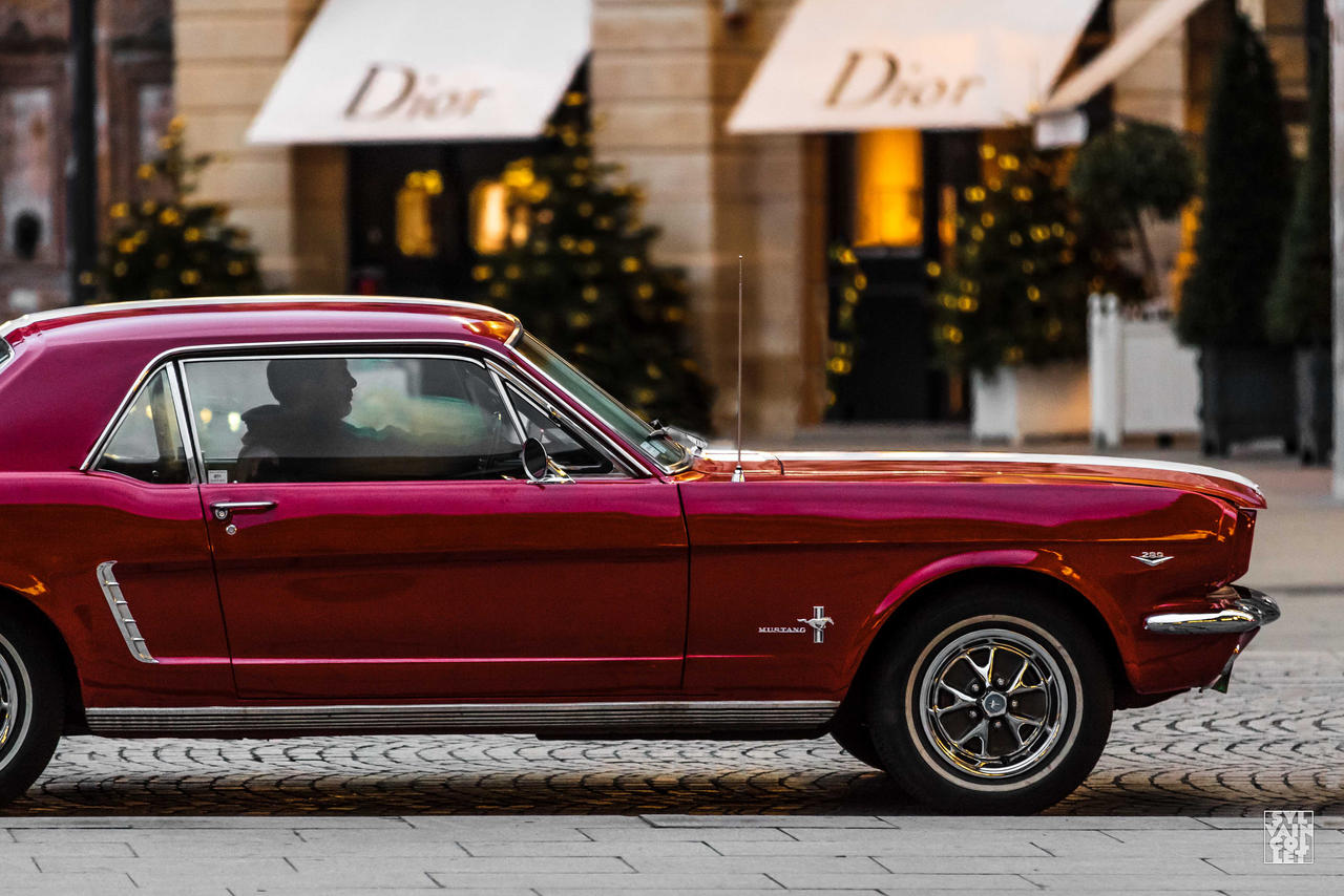 Red Mustang