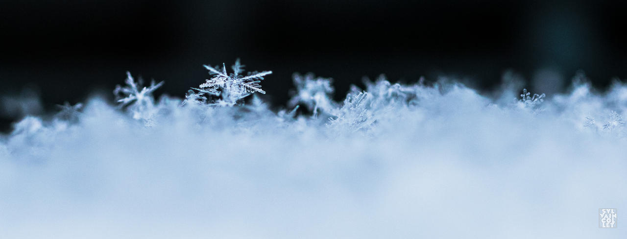 Snow 3 by sylvaincollet on DeviantArt