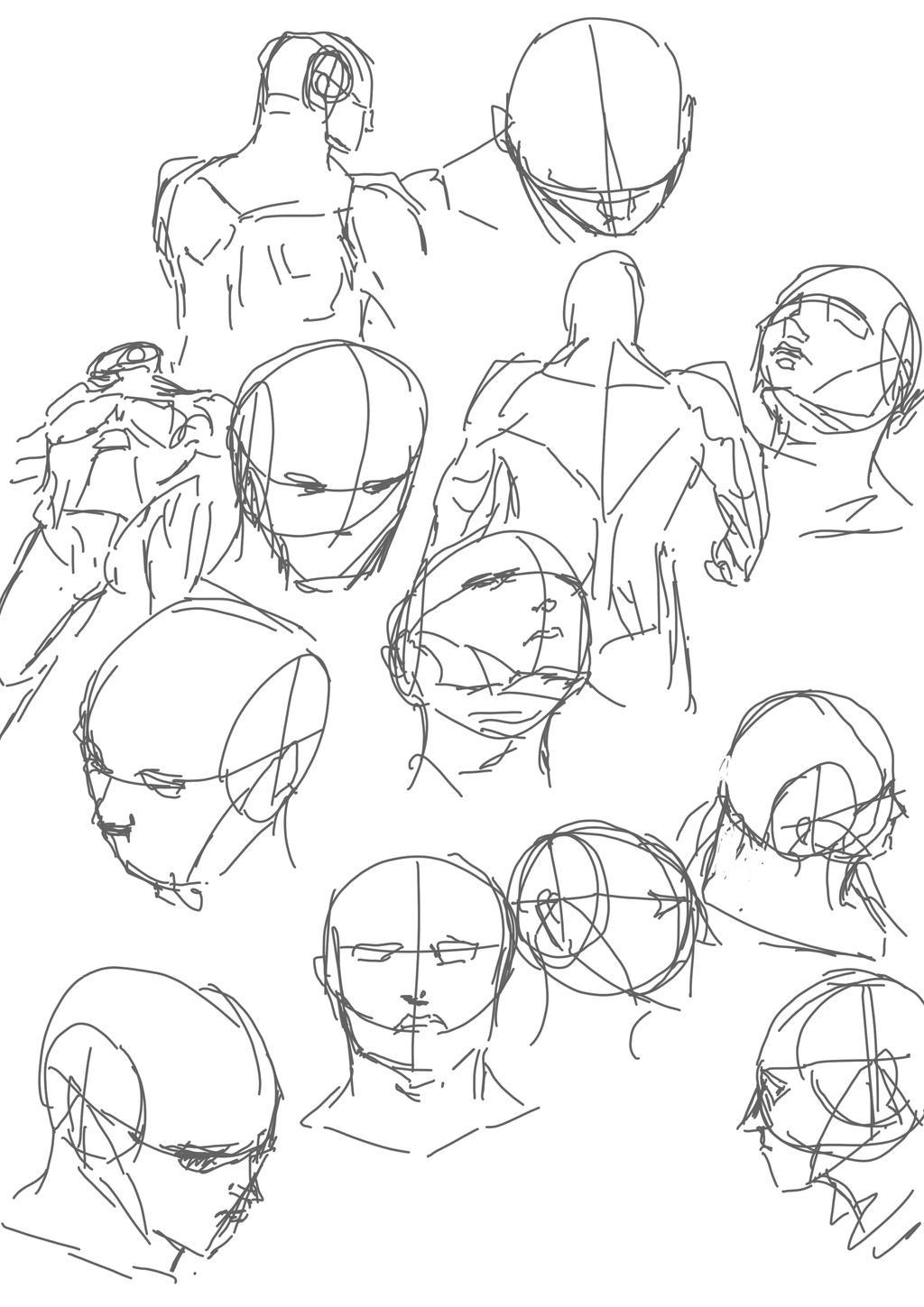 Basic Head Map Basic Head Studies by LeviNevarez on DeviantArt