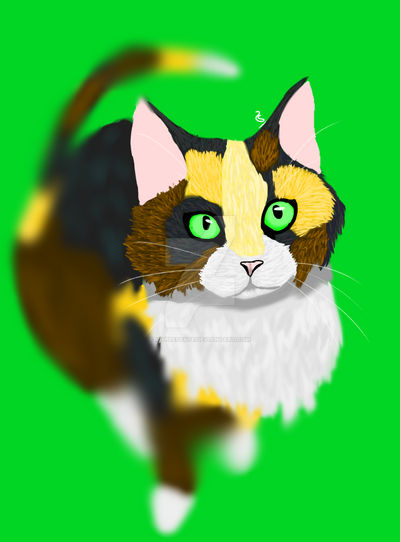 Spottedleaf Falling Spottedleaf by Ripplespate on DeviantArt