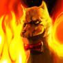 The Fire Alpaca