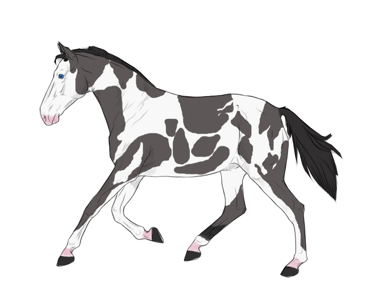 Ats Reference Property ATS Reference- Ditsy by Westie9 on DeviantArt