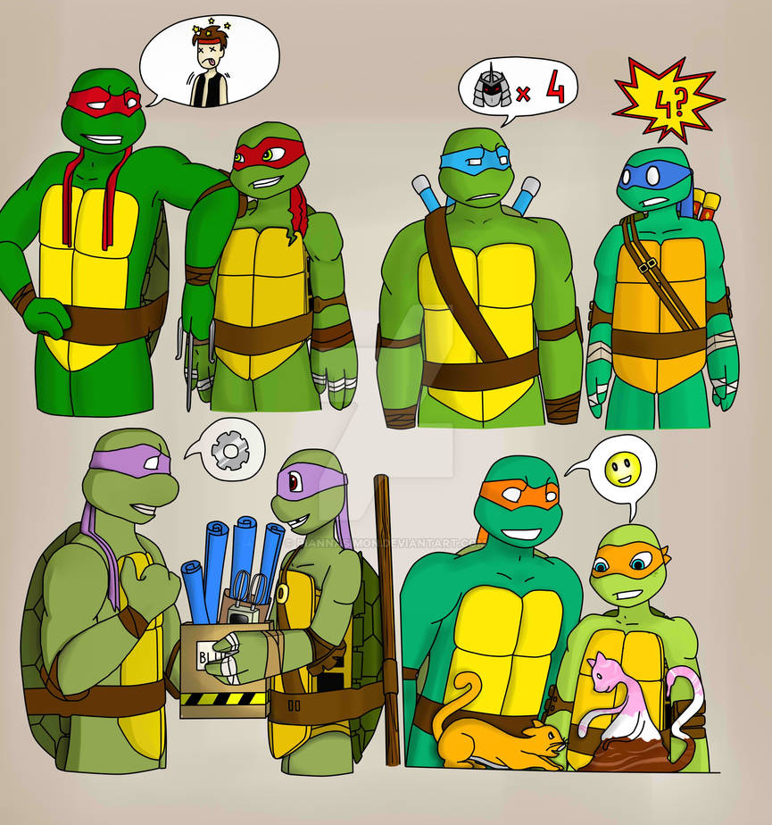 Тест черепахи