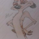 Timon