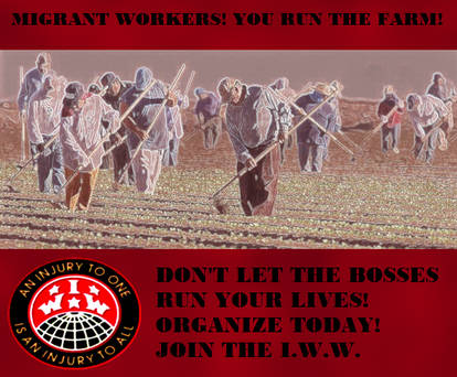 Migrant Workers IWW