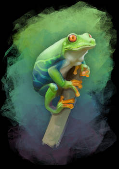 Tree Frog study