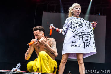 Die Antwoord