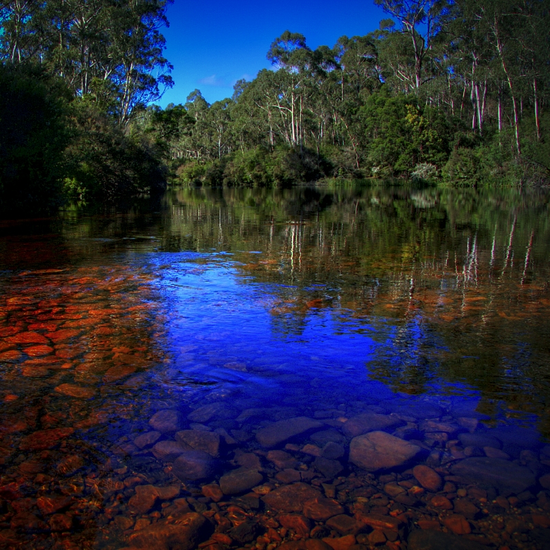 Swim Upstream Float Downstream