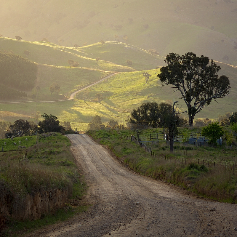 The Road to Cavan