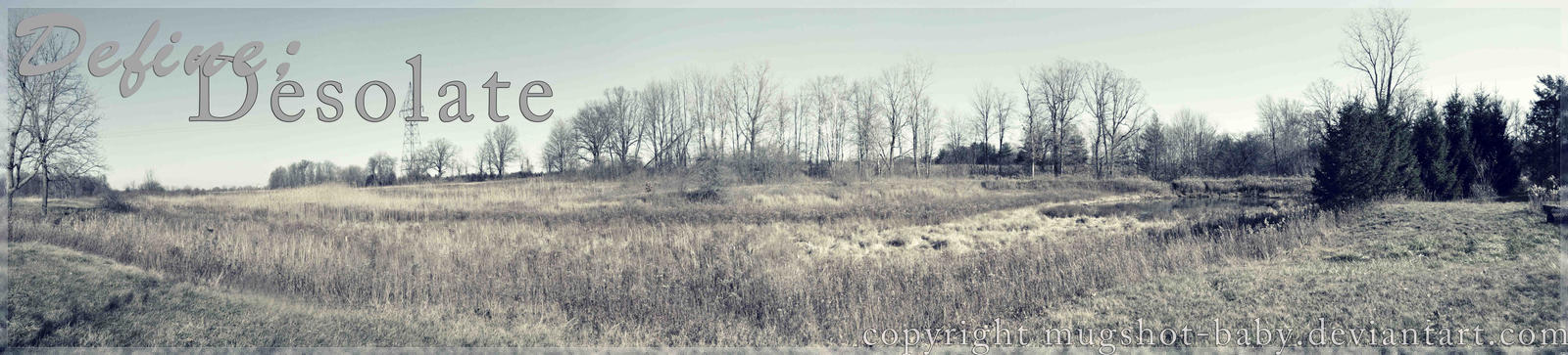 Desolate define Desolate define