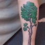 Calf tree tattoo