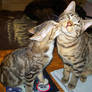 .:Just a Kiss:.
