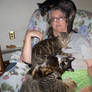 .:Piled On:.