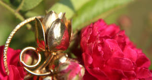 .:The Inspiration of a Rose:.