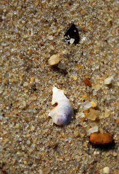 .:Through the Sands of Time:.