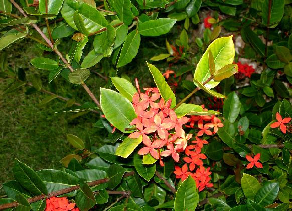 The Heart by bRokEn-miNd on DeviantArt