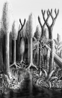 Late Carboniferous Forest