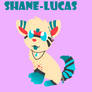 Shane-Lucas Ref Sheet