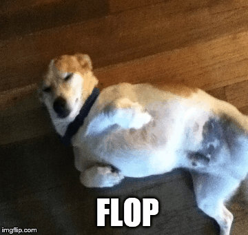 Flop gif by ZodiacWolf15 on DeviantArt