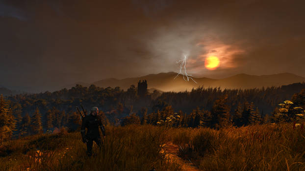 The Witcher 3 11K Res