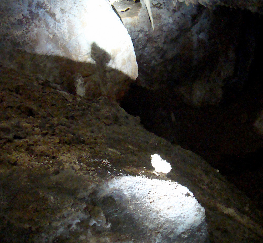 Is Zuddas Cave - Chick Stalagmite