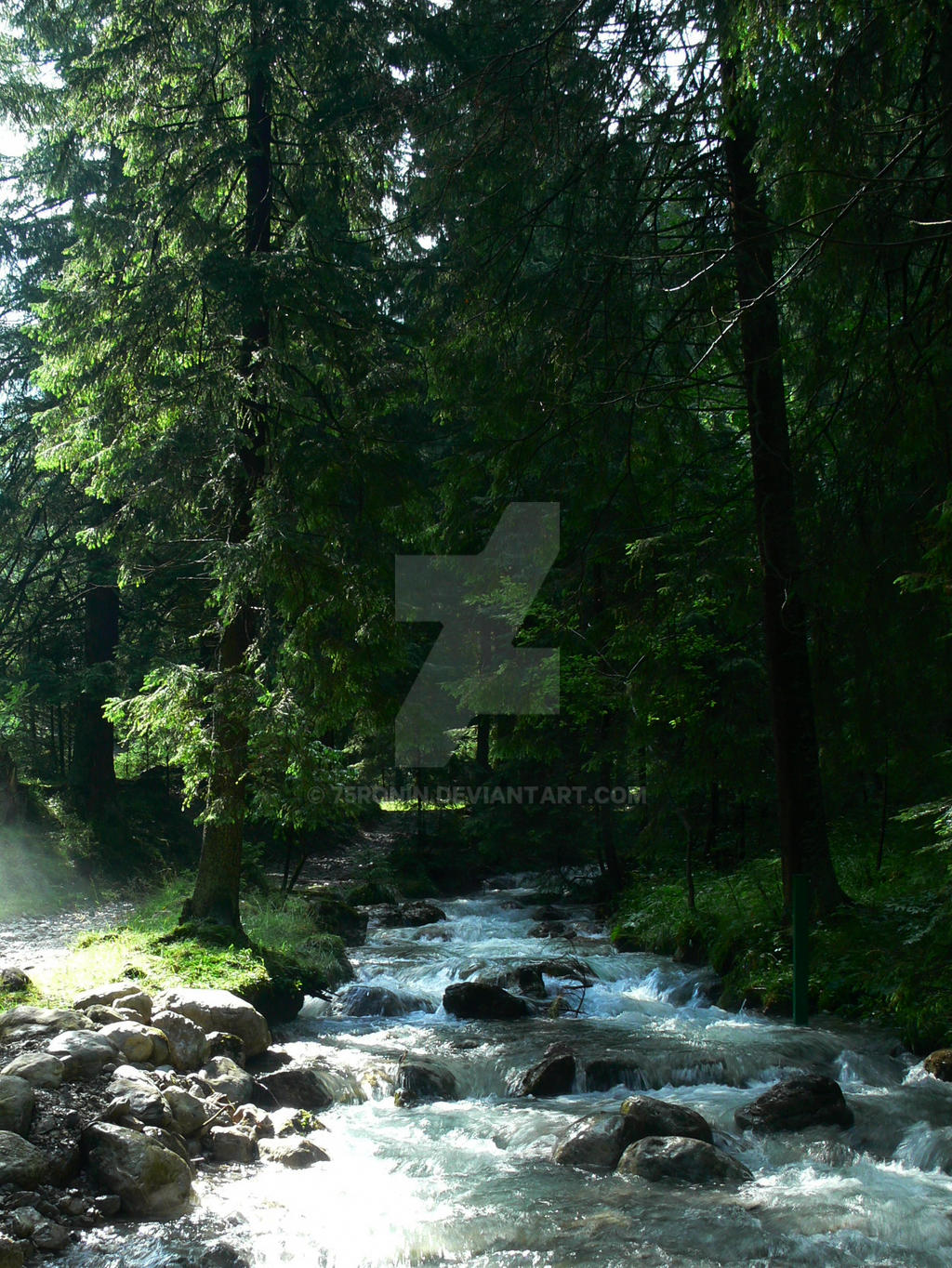 Tatra mountains