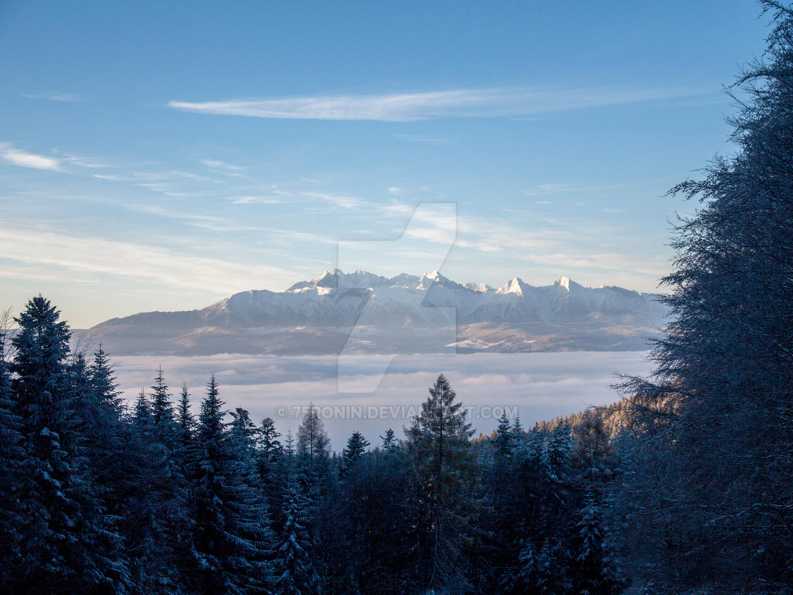 Foggy mountains