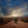 Sahara Sunrise