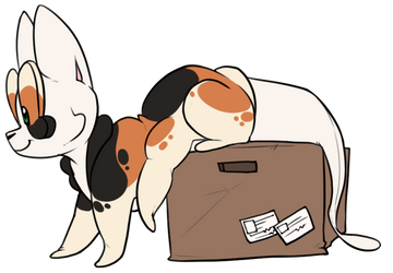 Runeboo: Callous Calico