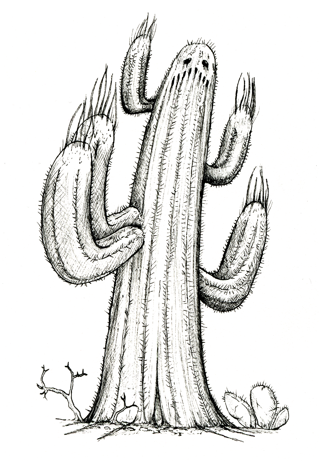 Sageistro sketch